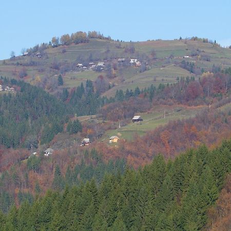 Kings Valley - Sunny Botesti Cîmpeni Exteriér fotografie