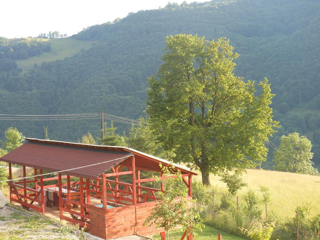 Kings Valley - Sunny Botesti Cîmpeni Exteriér fotografie