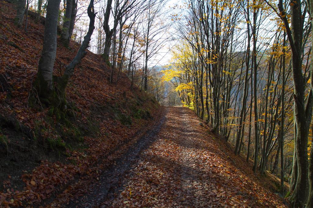 Kings Valley - Sunny Botesti Cîmpeni Exteriér fotografie