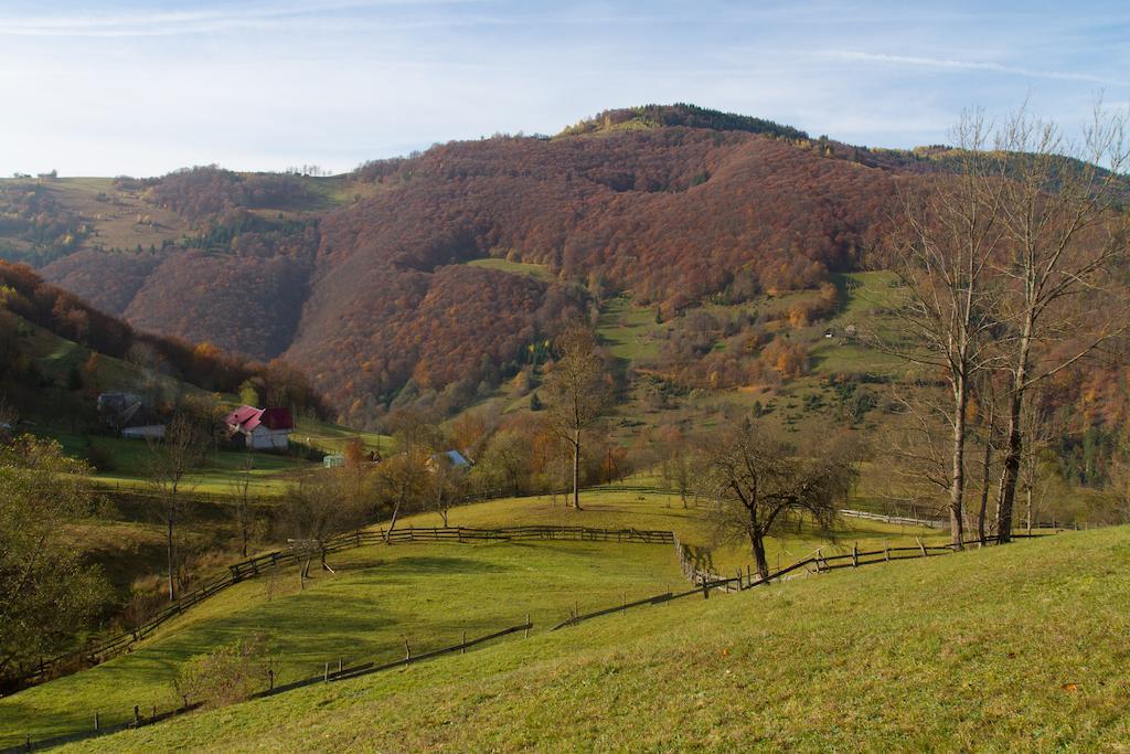 Kings Valley - Sunny Botesti Cîmpeni Exteriér fotografie