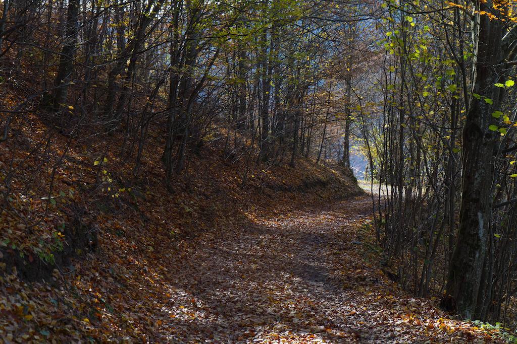 Kings Valley - Sunny Botesti Cîmpeni Exteriér fotografie