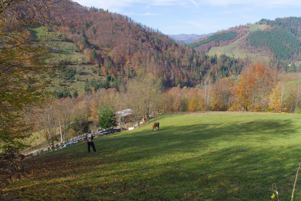 Kings Valley - Sunny Botesti Cîmpeni Exteriér fotografie
