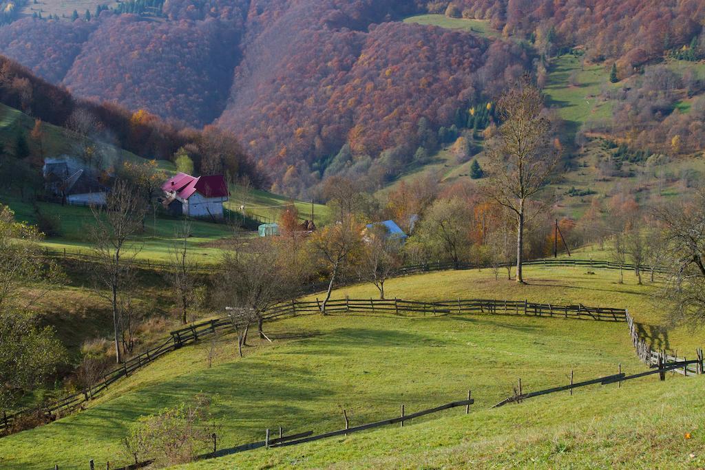 Kings Valley - Sunny Botesti Cîmpeni Exteriér fotografie