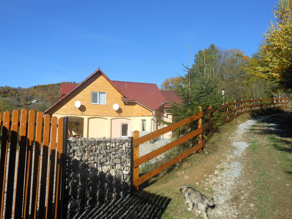 Kings Valley - Sunny Botesti Cîmpeni Exteriér fotografie