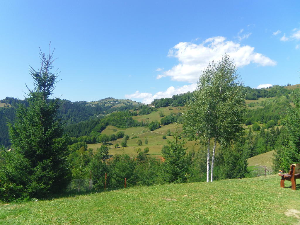Kings Valley - Sunny Botesti Cîmpeni Exteriér fotografie