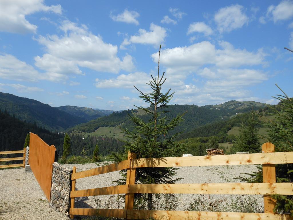 Kings Valley - Sunny Botesti Cîmpeni Exteriér fotografie